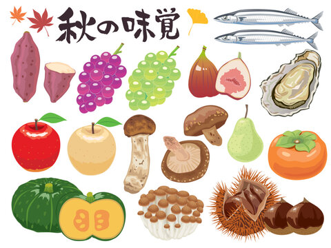 秋の味覚 の画像 103 296 件の Stock 写真 ベクターおよびビデオ Adobe Stock 秋の味覚 の画像 103 296 件の Stock 写真 ベクターおよびビデオ Adobe Stock