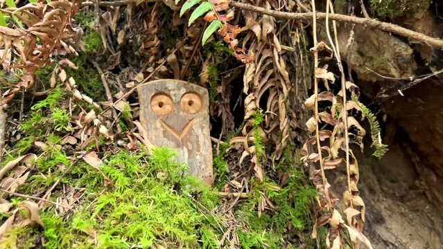 Fun wooden craft hidden in the jungle Smiling owl two eyes There is space for text Englishman river falls park Parksville Qualicum Vancouver Island Canada. High quality photo