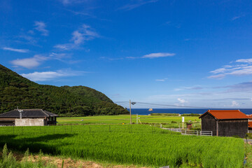 JR宇賀本郷駅付近の長閑な風景　山口県下関市豊浦町