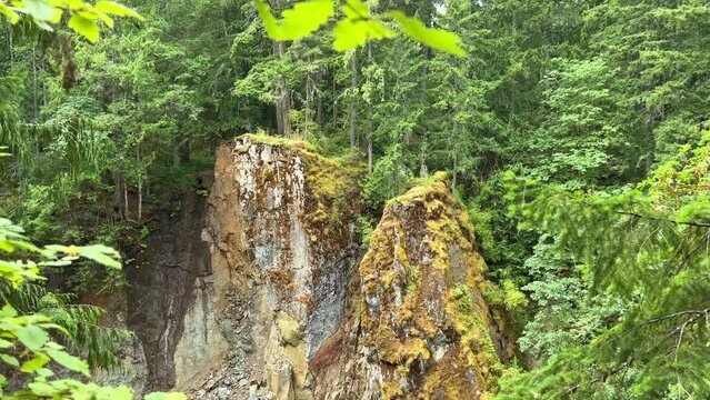 A beautiful view of the upper fall of Englishman river surrounded by mossy rocks and lush forest trees. High quality photo Englishman river falls park Parksville Qualicum Vancouver Island Canada