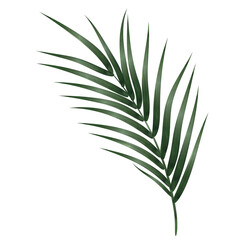 Palm Leaf Watercolor