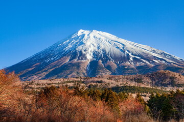 Fototapeta na wymiar 西臼塚から眺める冬の富士山　静岡県富士宮市にて