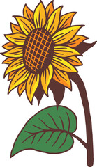 Sunflower Summer Floral nature plant Aesthetic hand drawn Romantic illustration