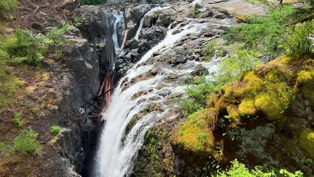 You can see a bright blue river that flows from a beautiful waterfall Englishman river falls park Parksville Qualicum Vancouver Island Canada. High quality photo