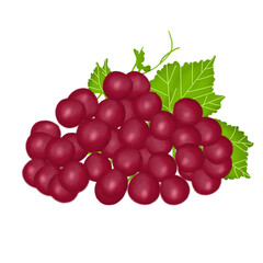 bunch of grapes
