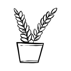 houseplant hand drawn illustration. line art of the potted home plant collection set. floral plant isolated