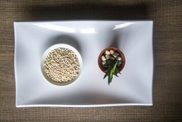 Bowl of organic pearl barley on white plate