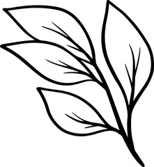 Obraz premium Hand Drawn Leaf Sketch Line Art 