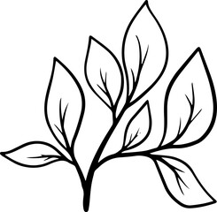 Hand Drawn Leaf Sketch Line Art
