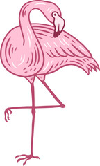Fototapeta premium Flamingo pink Bird flamingos Aesthetic Tropical Exotic Hand drawn flat style collection