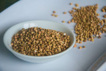 Raw Buckwheat in white ceramic bowl on wooden wood