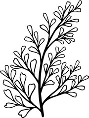 Leaf Design Element Line Art
