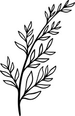 Leaf Design Element Line Art
