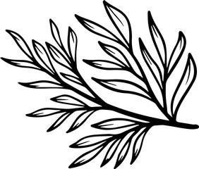 Leaf Sketch Line Art Illustration
