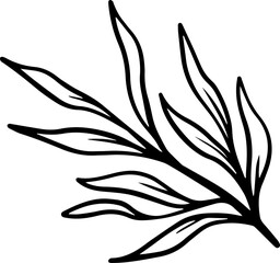 Fototapeta premium Leaf Sketch Line Art Illustration 