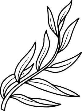 Leaf Design Element Line Art
