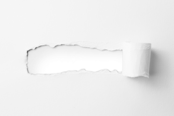 Torn paper with the curled ripped sides