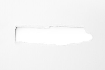 Torn paper with the curled ripped sides