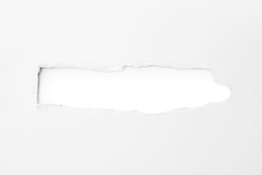 Torn paper with the curled ripped sides