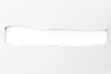 Torn paper with the curled ripped sides