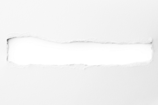 Torn paper with the curled ripped sides