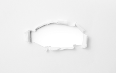 Torn paper with the curled ripped sides