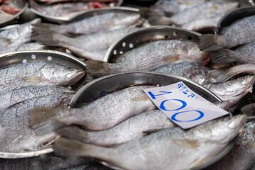 fresh sea bass fish at the market