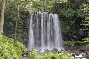 Fototapeta na wymiar 山間の渓流にある小さな滝