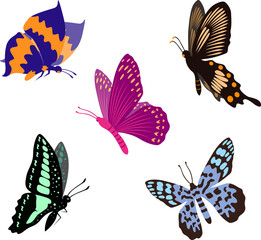 Naklejka premium Collection of multicolored butterflies. Set of tropical flying insects with colorful wings. Vector illustration.