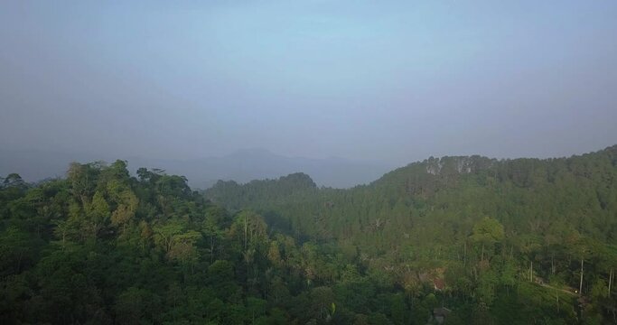 aerial view of forest and hill with slightly foggy weather in the morning on Menoreh Hill, Magelang, Indonesia. 4K stock jungle videos. tropical rain forest.
