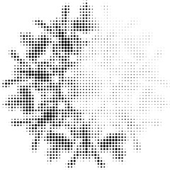 Dotted halftone crystal-like mandala with lightened upper right sector. Vector.