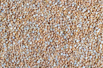 Raw, dry and not cooked porridge of peas on the table