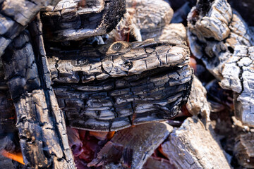 Burning logs in a campfire while cooking and warming