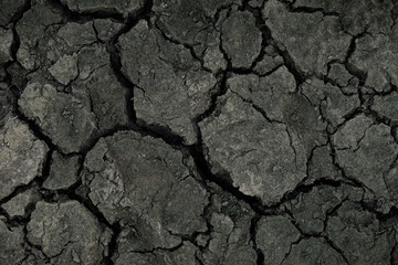 cracked and dried mud as background and texture