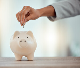 Savings, investment or hand putting a coin into a piggy bank to save for future growth and...