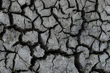 cracked and dried mud as background and texture