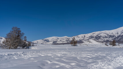 Fototapeta na wymiar The valley is covered with pure white snow. Footprints and tire tracks in snowdrifts. Bare trees and a picturesque mountain range against a clear blue sky. Copy space. Altai