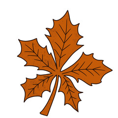 Autumn illustration clip art  boho thanksgiving