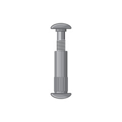 Wedge anchor carbon steel zinc plated bolt isolated realistic icon. Vector externally threaded expansion anchor, vehicle spare part. Car stainless steel detail, suspension mechanism spare part