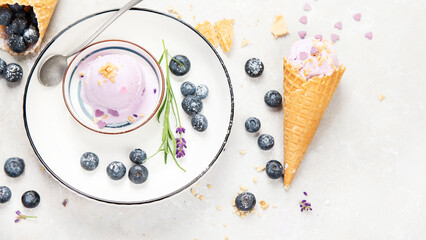 Organic blueberry ice-cream on neutral background.