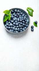 Fresh blueberry on neutral background.