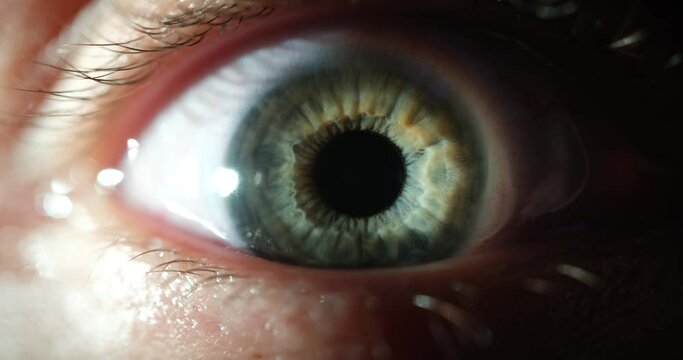 Closeup macro eye opening beautiful blue gray green iris natural beauty