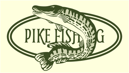 vector drawing illustration of jumping pike fish for fishing, outdoors, adventure and nature logo, t-shirt or label design.