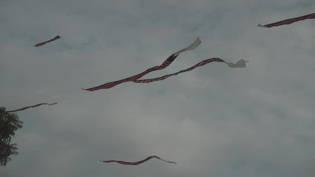 Balinese Traditional Kites JANGGAN (Red White Black Long Tail Bird Dragon) on Bali Kite Festival Summer Blue Sky Slow Motion