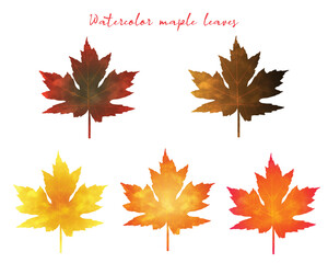 Set of dry vector maple leaves.Red,orange leaf.Watercolor autumn maple leaf