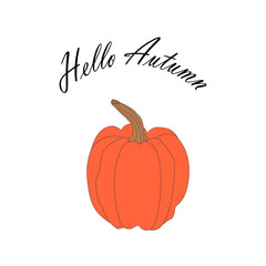 orange pumpkin illustration, lettering hello autumn. autumn harvest illustration