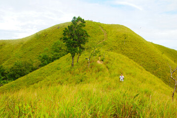 Panoramic view of green hill on a sunny summer day. Hiking adventure concept