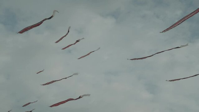 Balinese Traditional Kites JANGGAN (Red White Black Long Tail Bird Dragon) on Bali Kite Festival Summer Blue Sky Slow Motion
