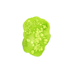 Abstract green watercolor stain, isolated. Watercolor hand drawn texture for backgrounds, cards, banner and flyers