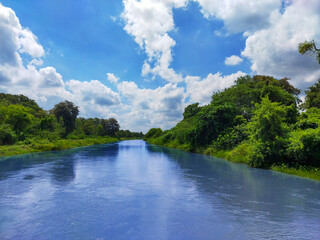 Obraz na płótnie Canvas river in the forest beautiful sky